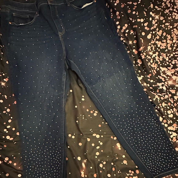 Lane Bryant Denim - Lane Bryant Dark Blue Signature Fit Studded Skinny Jeans